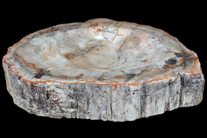 Polished Madagascar Petrified Wood Dish - Madagascar #83324